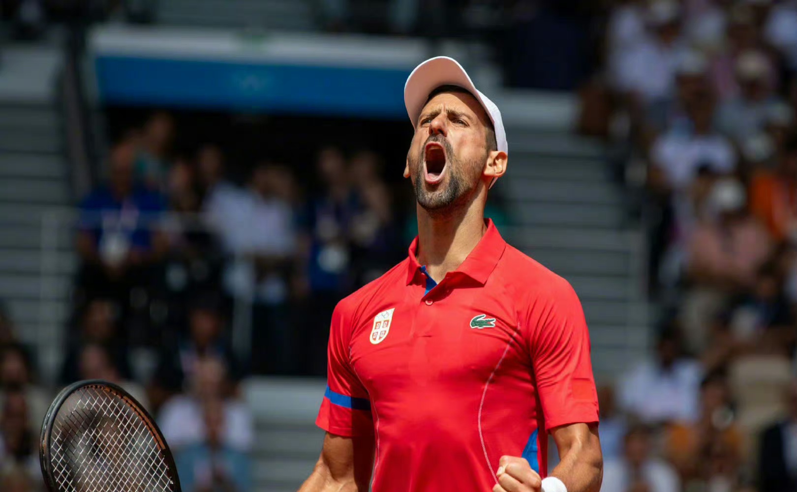 开云下载-日本网球队翻盘世界网球队,费德勒完成帽子戏法的简单介绍