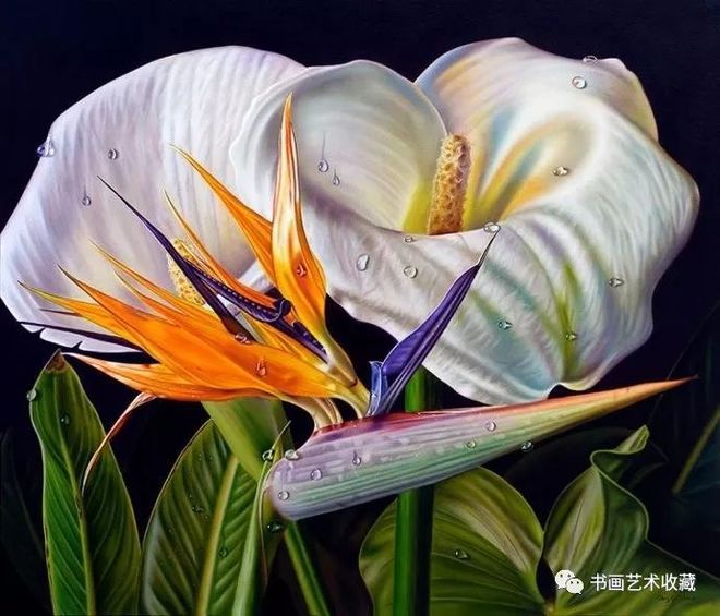 包含委内瑞拉运动员表现不俗,获得殊荣的词条 包含委内瑞拉运动员表现不俗,获得殊荣的词条