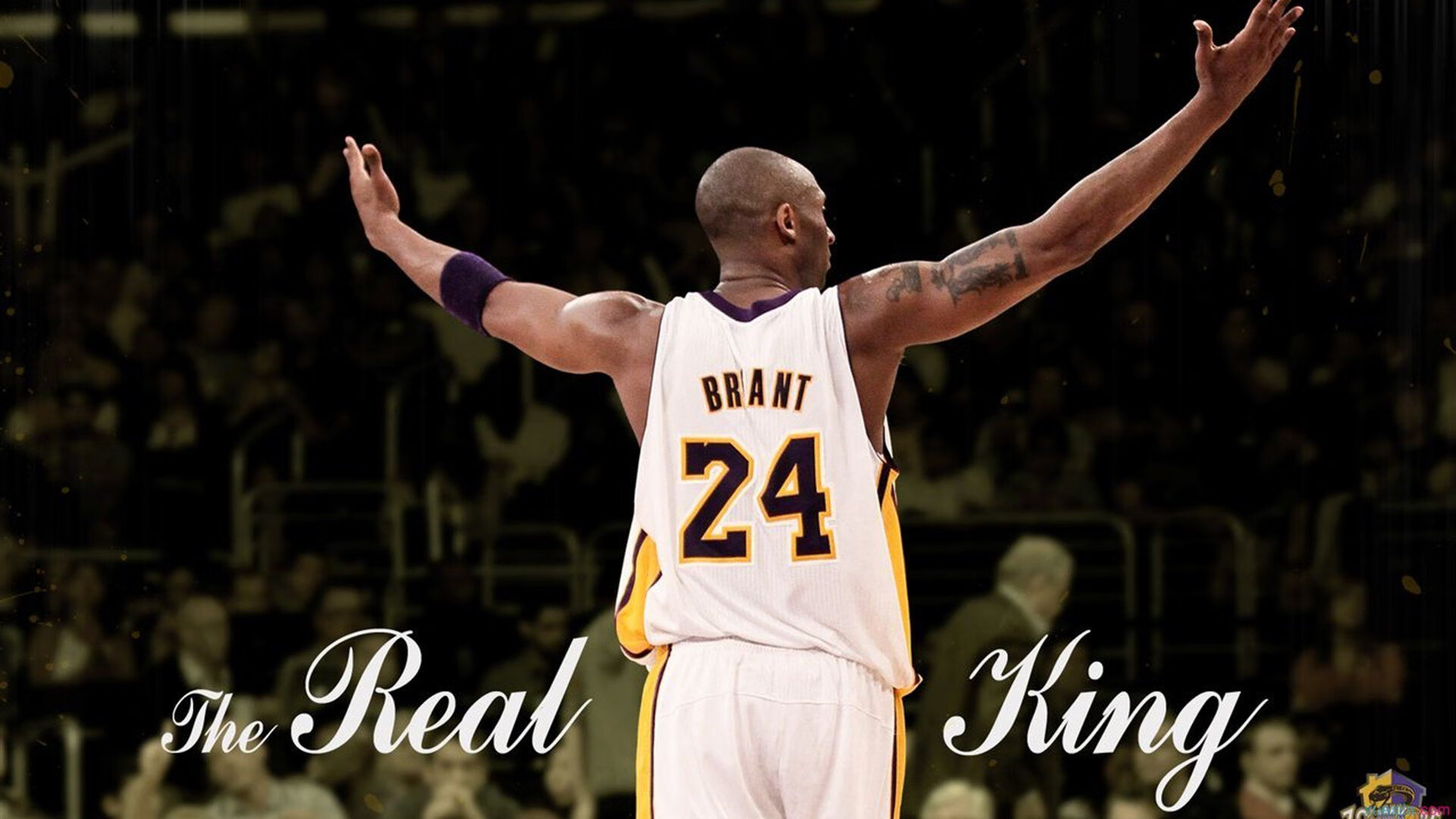 开云体育中国-西决生死战之夜,卡马文加硬仗之王